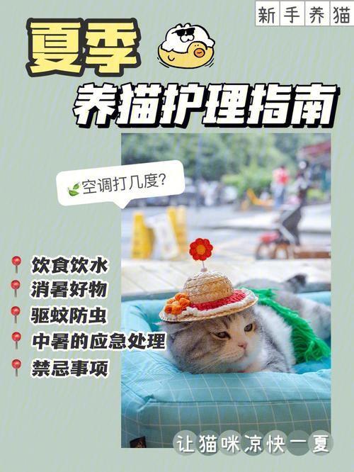 养猫防蚊妙招？（养猫 如何驱蚊）