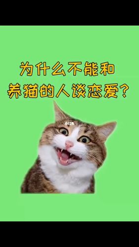 为什么男朋友不能接受养猫？（男朋友怎么养猫）