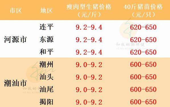 2023年五月21号，广东的小公牛土黄牛多少钱一斤？（广东生猪出栏报价）