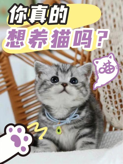 我想养猫怎么办？（但是我想养猫）