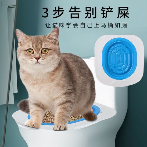 教你们怎样让猫咪学会上厕所？（培养猫上厕所）