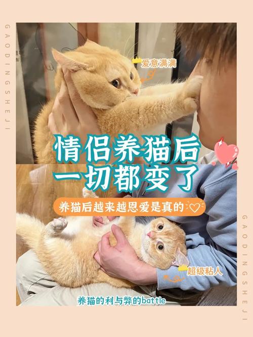 养猫的乐趣句子？（情人养猫的句子）