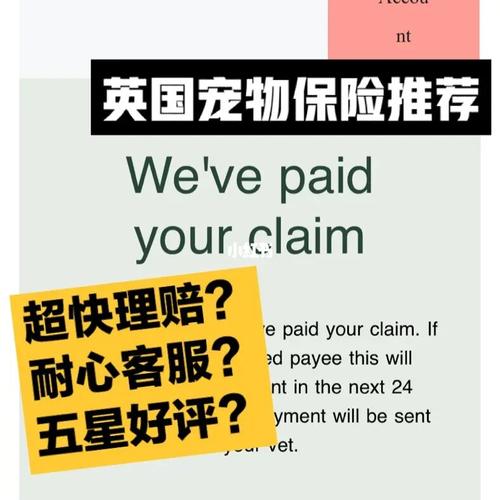 养殖狗可以办理保险吗？（英国养狗要牌）