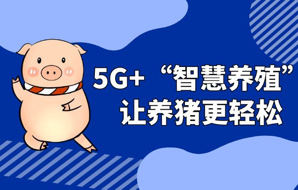 5g养猪什么意思？（生猪养殖 国家战略）