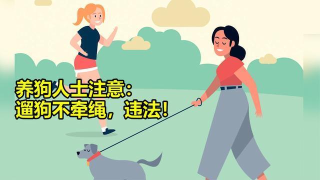 小型犬需要纤绳吗？（养狗不圈绳）