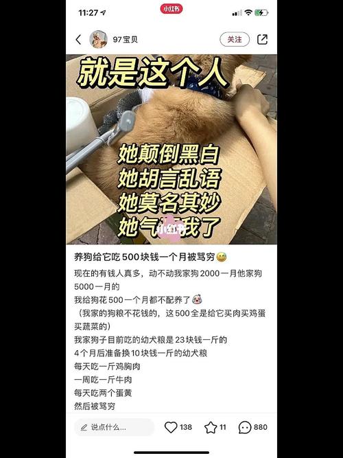 别人总是骂我是狗，怎么办？（女主养狗瞎）