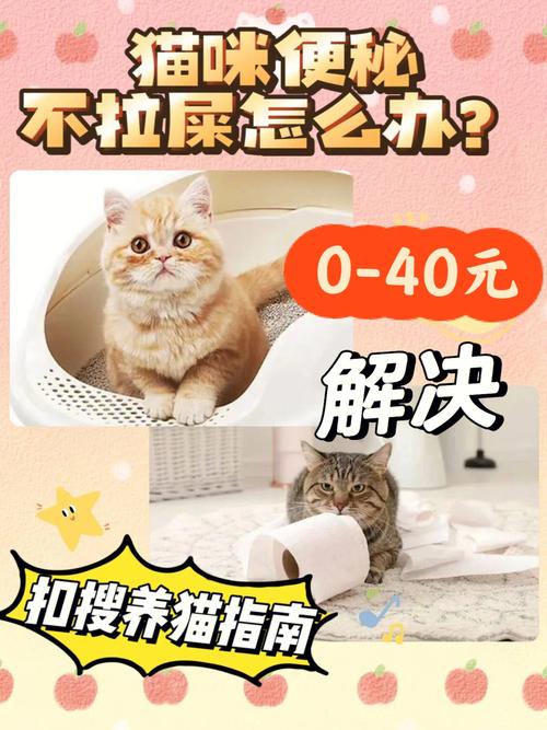 家猫好几天便秘拉不出来怎么办？（养猫几天不大便）