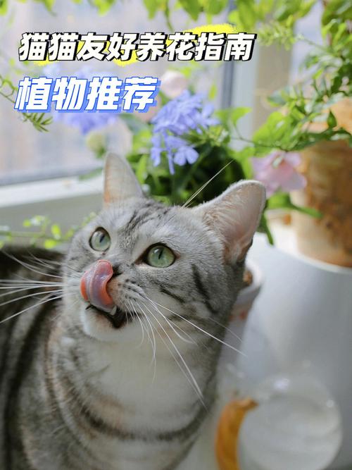 养花对猫有危害吗？（养猫之后早上咳嗽）