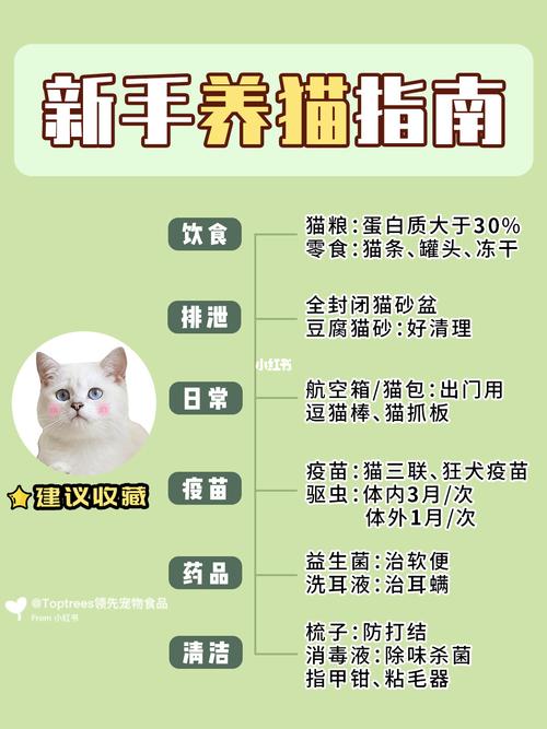 realme云养猫怎么取消？（好养猫平台客服）