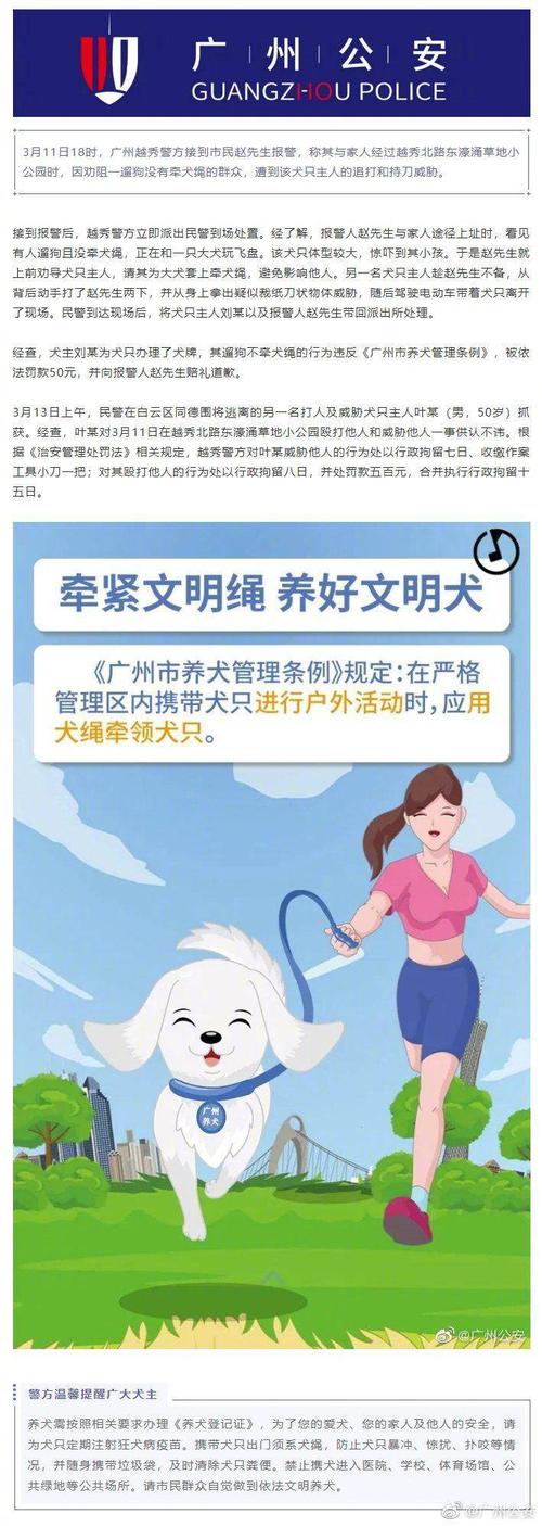 遛狗不拴绳怎么举报？（城市养狗牵绳）