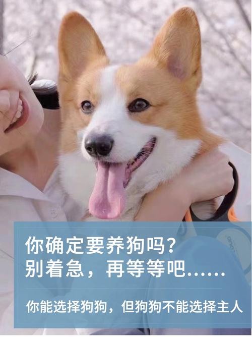 为什么不提倡买卖宠物狗？（不养宠物狗）