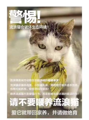 流浪猫法律规定由哪个部门管理？（国内合法收养猫）