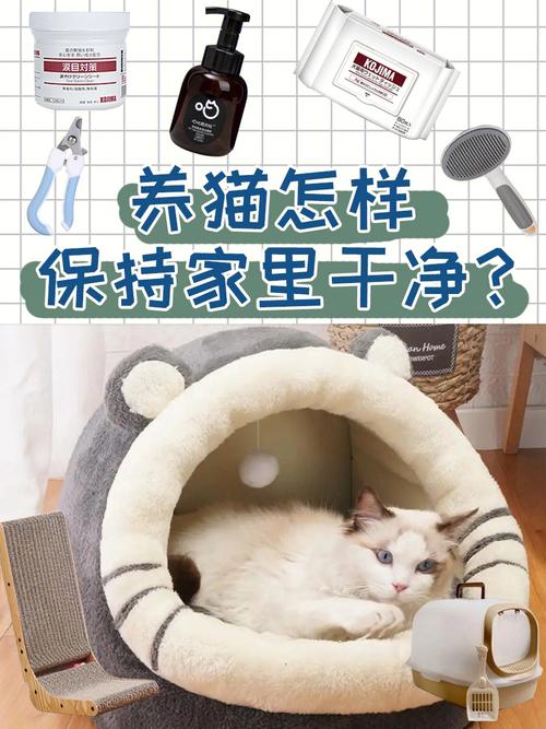 家里养猫如何保持卫生干净？（养猫如何整洁卫生）