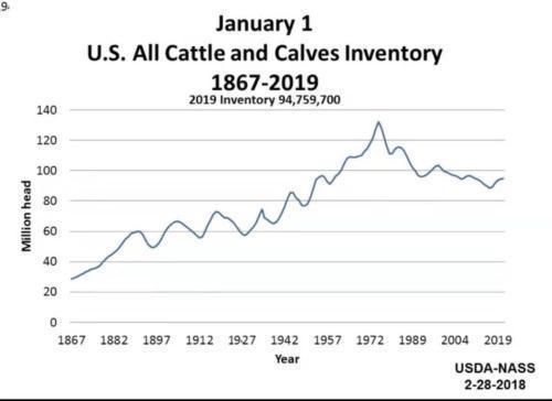 美国有很多牛吗？（美国生猪存栏量）
