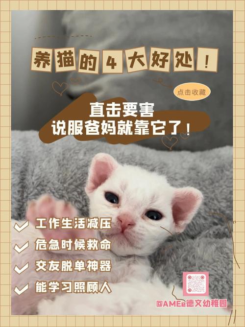 养猫焦虑怎么调整心态？（大学养猫心得）