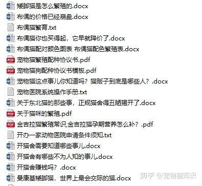 卖猫的专业术语？（养猫的人网络术语）