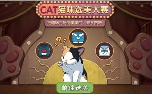 猫咪比赛怎么报名？（养猫的游戏选美）