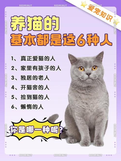 想要守护的一只猫讲的是啥？（开端养猫男外号）