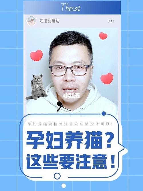 怀孕如何正确养猫？（养猫能备孕）