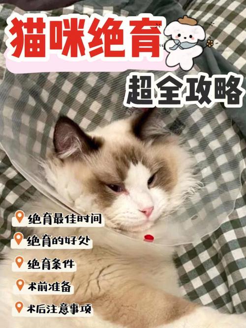 养猫新人求助各位，绝育公猫和未绝育母猫在一起生活会怎样？（养猫能否不绝育）