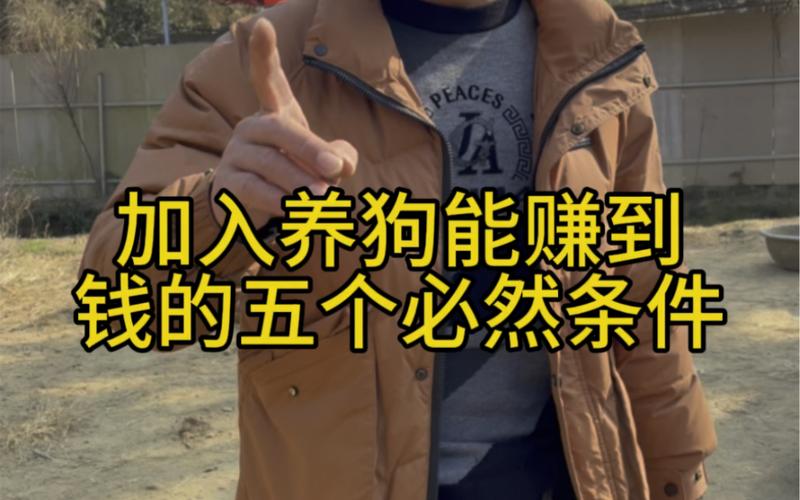 专业养狗能挣钱吗？（养狗要坚持吗）