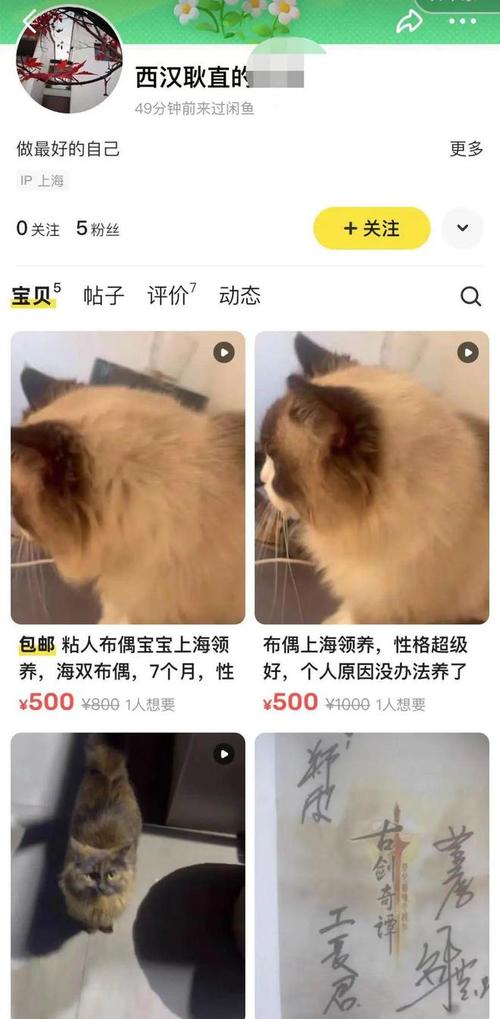 猫猫证件怎么办理？（养猫图文记录表）