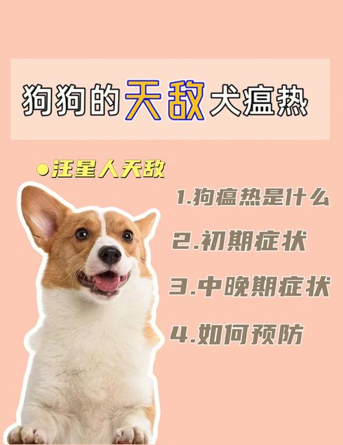 狗狗生病对人有没有什么传染？（淋巴结养狗）