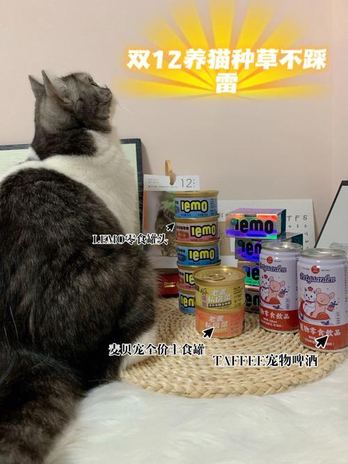 养猫可以养龙柳吗？（养猫可以转运不）