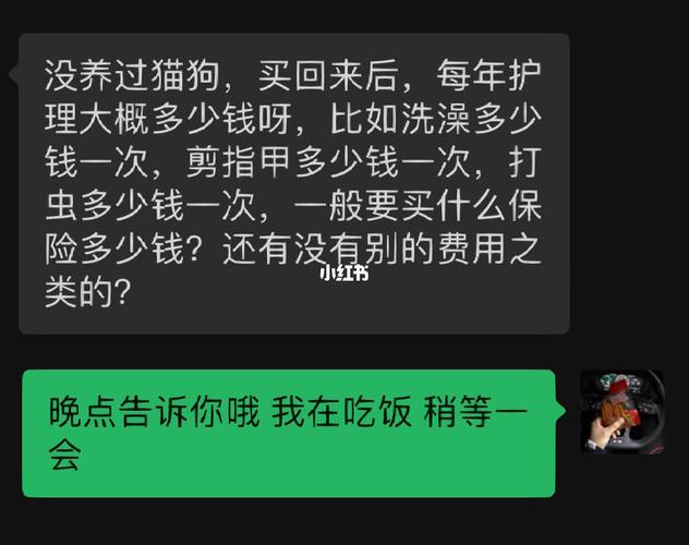 小区养猫超过多少数量可以投诉？（城市宠物管理 养猫）