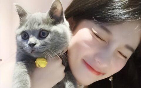 爱养猫的女生什么性格？（女士养猫怎样选择）