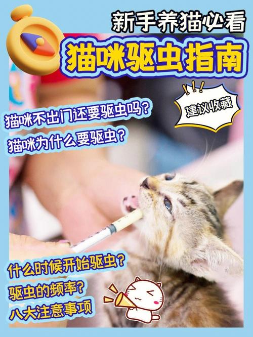 养猫家庭怎么灭蟑螂？（养猫治蟑螂吗）