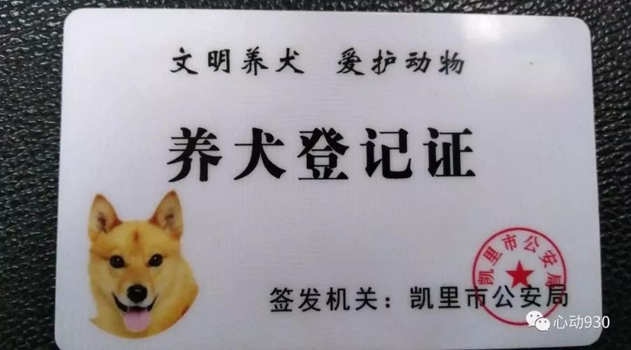 养中华田园犬要领证吗？（泰迪养狗证）