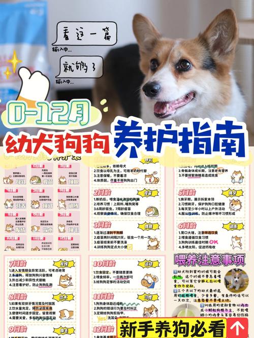 幼犬冠状病毒能治好吗？（养狗神经衰弱）