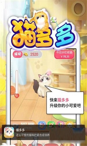 猫多多是什么意思？（养猫有啥app）