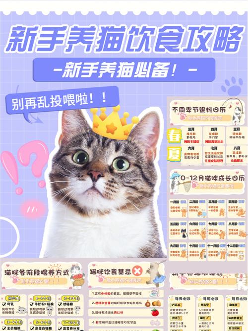 创造与魔法怎么养猫？（养猫什么书籍好）