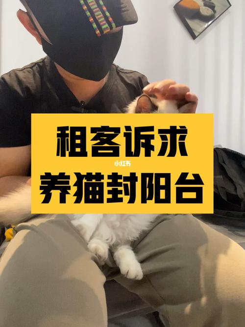 租客养猫对房子有影响吗？（养猫的租客要吗）