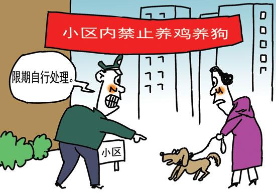 小区养狗扰民怎么办？（居民楼养啥狗）