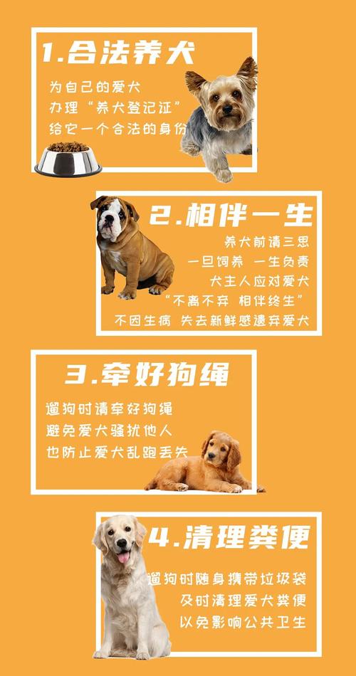 养大型犬不牵绳,到底找谁投诉最有效?（文明养狗的带绳）