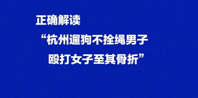 杭州遛狗打人事件最终如何处理？（杭州养狗打人者）