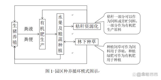 生物中合理密植和立体种植是什么意思？（生猪养殖种养结合）