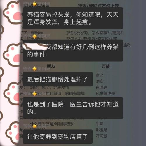 爸妈不让养猫怎么办？（父母养猫的报告）