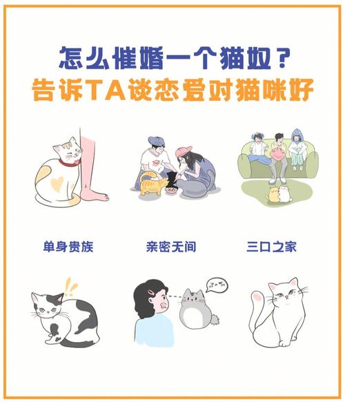 情侣养猫有什么后果？（情侣软件养猫下载）