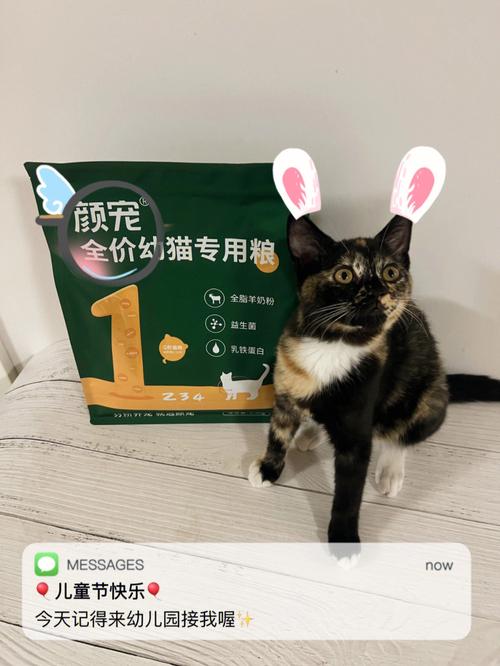 5个月猫吃什么加强营养？（养猫能买芍药）