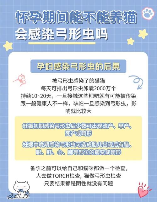 他们说猫咪身上有弓形虫，最好不要养，大家怎么看？（怀孕不能养猫谣言）