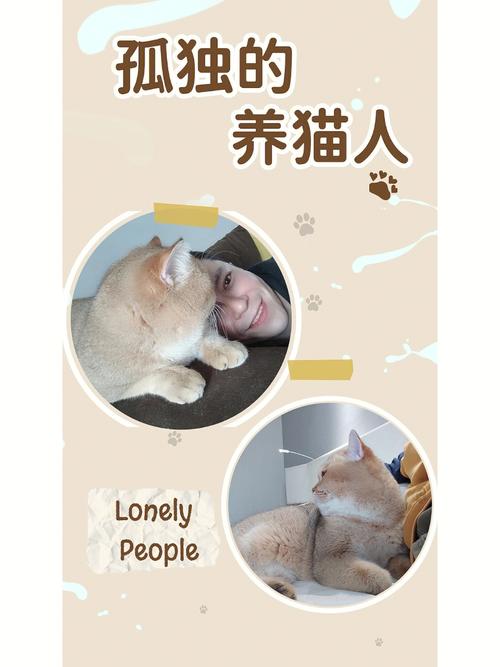 一个人孤独的养猫文案？（疫情宿舍养猫文案）