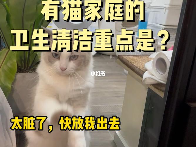 猫咪怎么除螨虫，怎么给猫咪除螨，猫咪身上有螨虫如何处理？（养猫生螨预防）