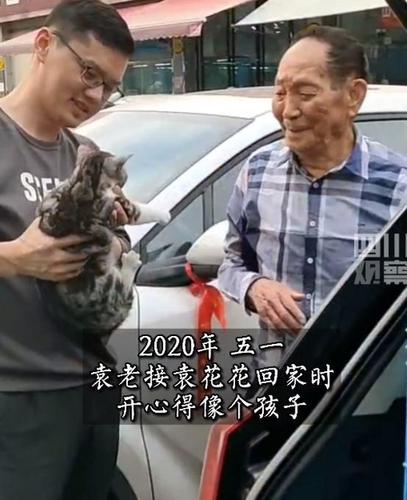 袁花花是流浪猫吗？（袁隆平养猫的吗）