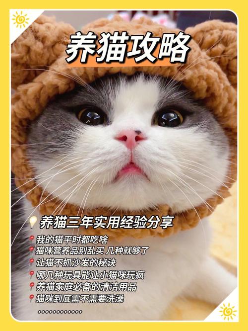 猫吃红糖水会怎么样？（红糖养猫的用途）