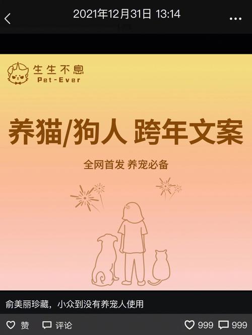 害怕猫的文案？（幽默拒绝养猫文案）