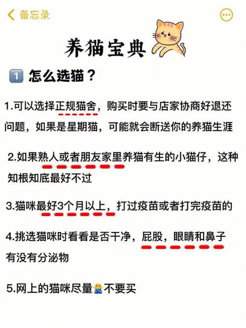 家有一岁宝宝能养猫吗？（养猫入门考试答案）